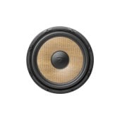 Subwoofer Focal FLAX EVO P 30 FSE