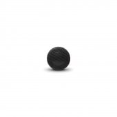 Rockford Fosgate PUNCH P1T-S