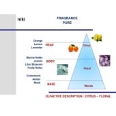 Luxusní stříbrná vůně do auta Mr&Mrs Fragrance Niki Pure