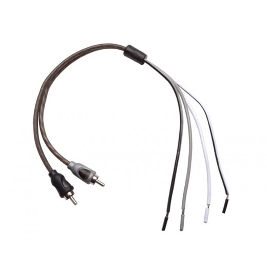 Rockford Fosgate RFI2SW